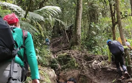 Menggapai Puncak dengan Merangkak