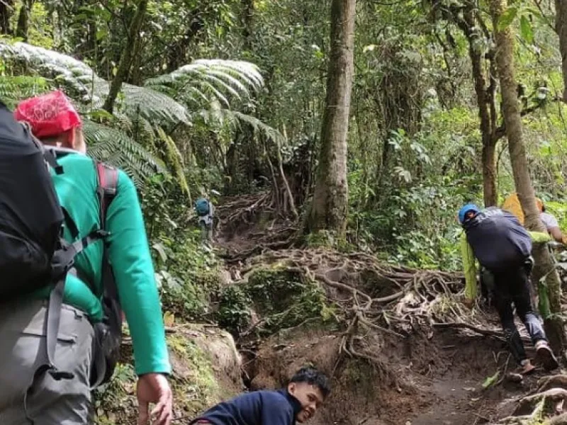 Menggapai Puncak dengan Merangkak