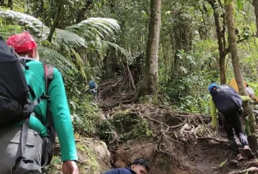 Menggapai Puncak dengan Merangkak