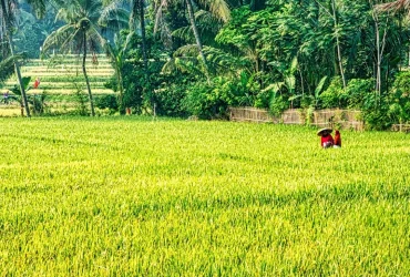 Dan Ingatlah Akan Kebaikannya