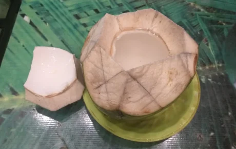 MENJAGA IMUN TUBUH DENGAN KELAPA IJO