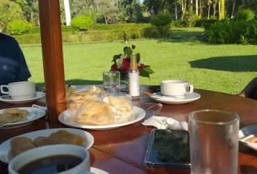 MENIKMATI CANDI BOROBUDUR DARI DEPAN PEKARANGAN HOTEL LANGSUNG