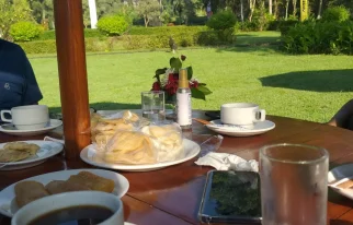 MENIKMATI CANDI BOROBUDUR DARI DEPAN PEKARANGAN HOTEL LANGSUNG