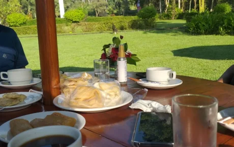 MENIKMATI CANDI BOROBUDUR DARI DEPAN PEKARANGAN HOTEL LANGSUNG